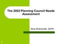 1 The 2002 Planning Council Needs Assessment Nina Rothschild, DrPH.