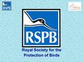 Royal Society for the Protection of Birds. Adaptations of Bowland Birds.