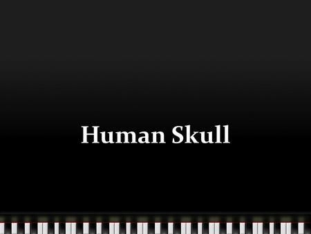 Human Skull. The fetal skull Discuss in your groups the following questions: Name three ways the fetal skull differs from the adult skull? Why are there.