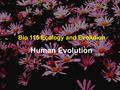 Bio 115 Ecology and Evolution Human Evolution.