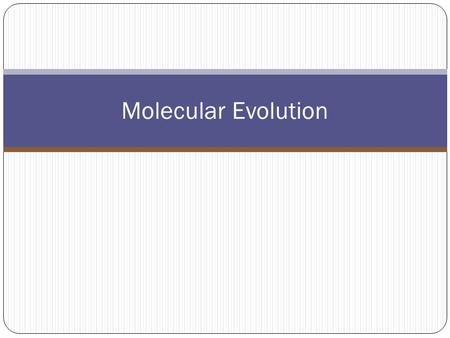 Molecular Evolution. The fact that all species utilize the same genetic code to synthesize proteins argues for a common ancestry to all life on earth.