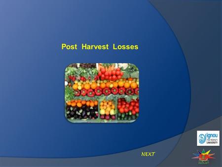 Post Harvest Losses NEXT. Post Harvest Losses Introduction Lowers the price for the consumer and increases the farmer’s income. Utilizing improved post.