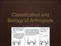 Classification and Biology of Arthropods January 28, 2009.