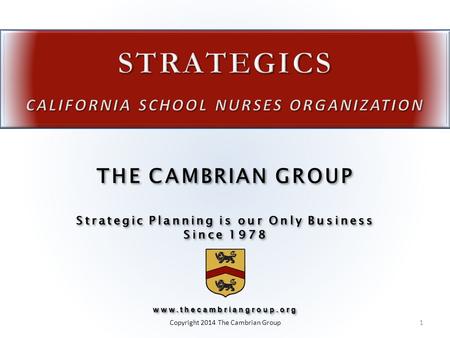 Strategic Planning is our Only Business Since 1978 THE CAMBRIAN GROUP Strategic Planning is our Only Business Since 1978www.thecambriangroup.org www.thecambriangroup.org.