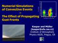 Numerial Simulations of Convective Events – The Effect of Propagating Gust Fronts Kaspar and Müller Institute of Atmospheric Physics.