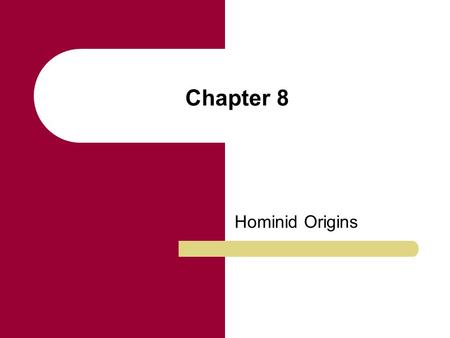 Chapter 8 Hominid Origins.