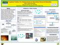 Graphical Toolbox For Enhancements in Operations Research Education Author: Ramzi Kesrouany Research Advisor: Dr. Nan Kong Department of Industrial & Management.