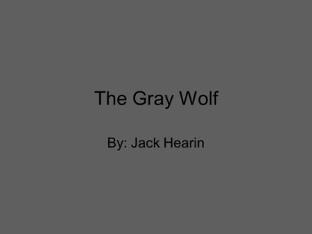 The Gray Wolf By: Jack Hearin Habitat and Range The Gray Wolf lives in timber forests, the Rocky Mountains, tundra, taiga, and grass lands. The Gray.