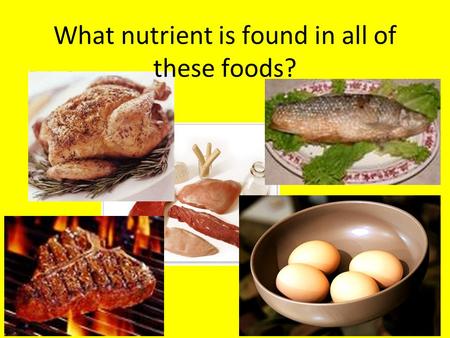 What nutrient is found in all of these foods?. PROTEIN Comprised of 20 different amino acids Your body can make 11 of these amino acids There are 9 essential.