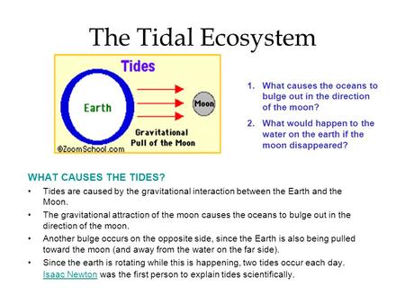 The Tidal Ecosystem WHAT CAUSES THE TIDES? Tides are caused by the gravitational interaction between the Earth and the Moon. The gravitational attraction.