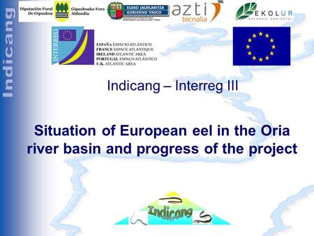 Séminaire Indicang 18 et 19 mai 2005 Indicang – Interreg III Situation of European eel in the Oria river basin and progress of the project.