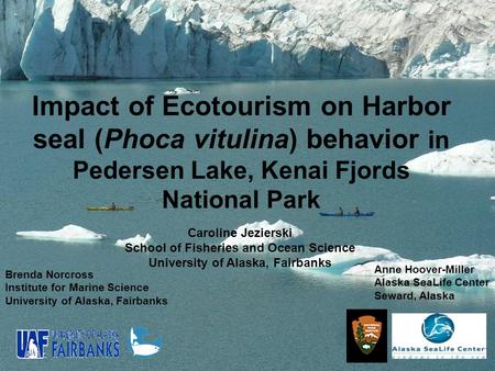 Impact of Ecotourism on Harbor seal (Phoca vitulina) behavior in Pedersen Lake, Kenai Fjords National Park Brenda Norcross Institute for Marine Science.