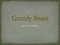 Internet Workshop. (Click on the picture for a amazing video) Questions 1.Grizzly Bears love to eat what type of fish? 2.How many salmon does a Grizzly.