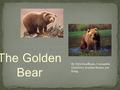 The Golden Bear By: Kyle Kauffman, Cassandra Gutierrez, Jeanine Ruano, Joe Kang.