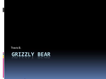 Travis B.. Habitat  Grizzly bears are found in western Canada, Alaska, Wyoming, Montana, Idaho, and Washington.