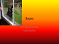 Bears By: Sean Parrish Ellen Bailey. Poem I look out my window and what do I see? A large grizzly bear coming to visit me Oh Lord, please change that.