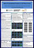 Role of Cytoskeletal Proteins in G2 Phase Arrest Katherine Jordan, Alex Stevenson, Loredana Spoerri, Sandra Pavey, Brian Gabrielli The University of Queensland.