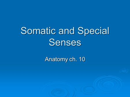 Somatic and Special Senses Anatomy ch. 10. Touch and Pressure Senses  Come from 3 types of receptors:  1. Sensory nerve fibers- touch and pressure 