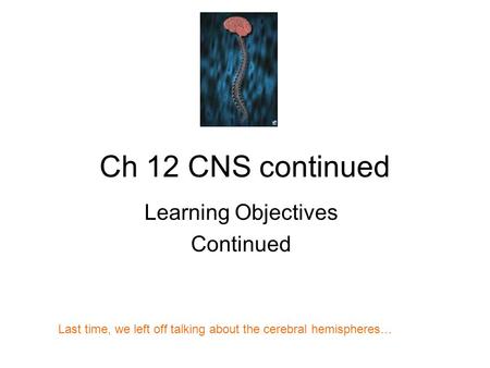 Ch 12 CNS continued Learning Objectives Continued Last time, we left off talking about the cerebral hemispheres…