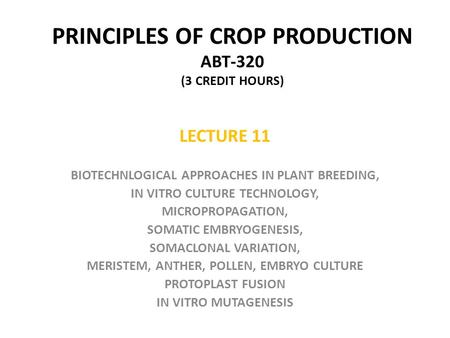 PRINCIPLES OF CROP PRODUCTION ABT-320 (3 CREDIT HOURS) LECTURE 11 BIOTECHNLOGICAL APPROACHES IN PLANT BREEDING, IN VITRO CULTURE TECHNOLOGY, MICROPROPAGATION,