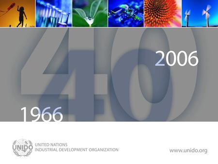 Www.unido.org. UNIDO in the Field Gustavo Aishemberg Director, Regional and Field Coordination Branch Vienna, 29 May 2007 vehicle for technology innovation.