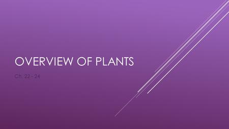 OVERVIEW OF PLANTS Ch. 22 - 24. INTRODUCTION TO PLANTS  Plants are multicellular, eukaryotic, have cell walls make of cellulose, and develop from multicellular.