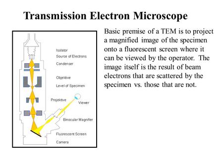 Transmission Electron Microscope Basic premise of a TEM is to project a magnified image of the specimen onto a fluorescent screen where it can be viewed.