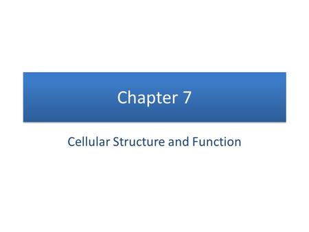 Chapter 7 Cellular Structure and Function. CELLS!