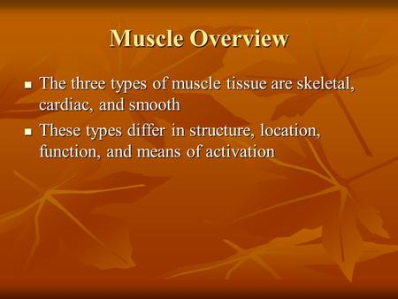 Muscle Overview The three types of muscle tissue are skeletal, cardiac, and smooth The three types of muscle tissue are skeletal, cardiac, and smooth These.