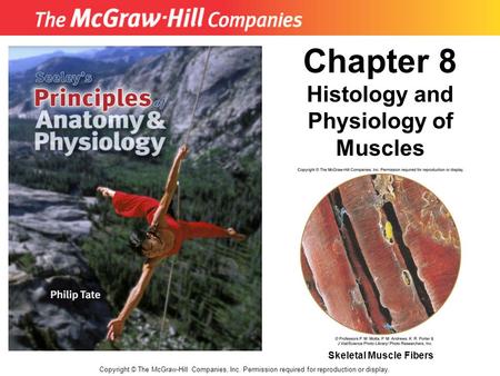 Histology and Physiology of Muscles