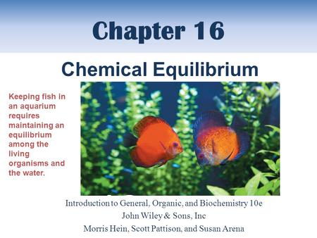 Chapter 16 Introduction to General, Organic, and Biochemistry 10e John Wiley & Sons, Inc Morris Hein, Scott Pattison, and Susan Arena Chemical Equilibrium.