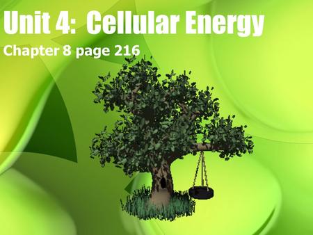 Unit 4: Cellular Energy Chapter 8 page 216. Autotrophs vs heterotrophs pg. 219 Autotrophs = Make their own food Heterotrophs = Consume their food.