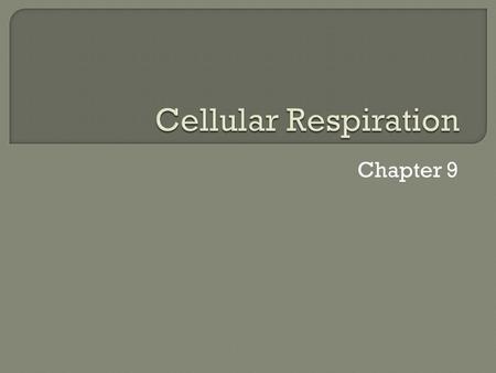 Cellular Respiration Chapter 9.