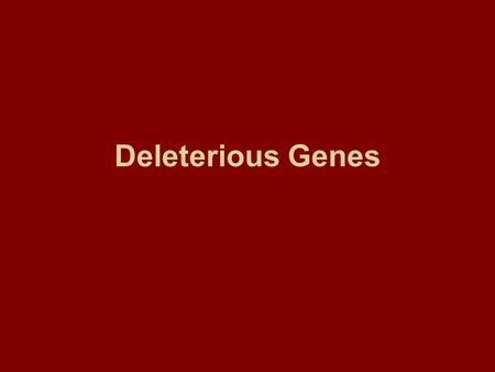 Deleterious Genes. Introduction A “perfect” population would not carry any deleterious genes—but as we’ve already seen, natural selection does not produce.