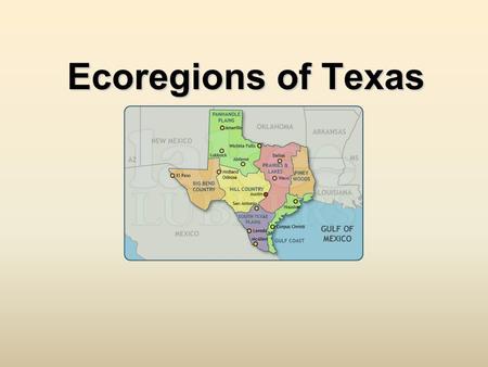 Ecoregions of Texas. What Is An Ecoregion? Ecoregion- a major area with distinctive landforms, characteristic plants and animals, and receives uniform.