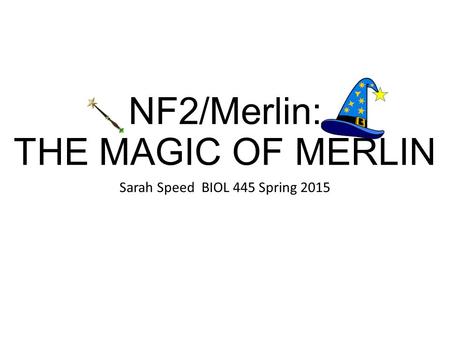 NF2/Merlin: THE MAGIC OF MERLIN