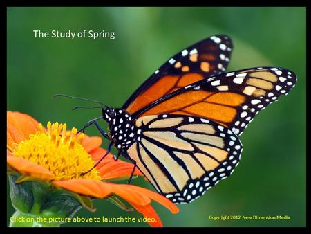 The Study of Spring Copyright 2012 New Dimension Media Click on the picture above to launch the video.