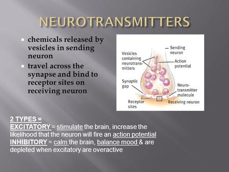  chemicals released by vesicles in sending neuron  travel across the synapse and bind to receptor sites on receiving neuron 2 TYPES = EXCITATORY = stimulate.