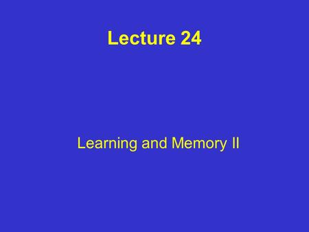 Lecture 24 Learning and Memory II. Memories Long term memory stored in cortex Information is processed for memory storage in other brain regions (i.e.