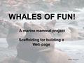 WHALES OF FUN! A marine mammal project Scaffolding for building a Web page Stellar Sea Lions.