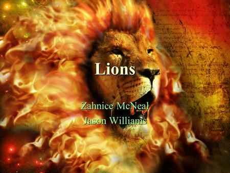 Lions Zahnice McNeal Jason Williams. Appearance Boy lions have a mane. Boy lions have a mane. Lions’ manes make them look larger than they are. Lions’