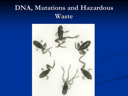 DNA, Mutations and Hazardous Waste. Prokaryote Cell.