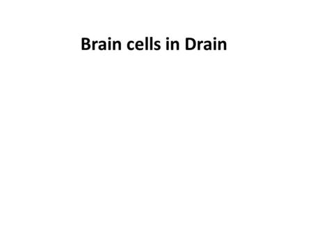 Brain cells in Drain. INTRODUCTION The relationship between biological effects and Electromagnetic Exposure has been widely recognized from Epidemiological.