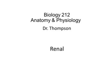 Biology 212 Anatomy & Physiology I Dr. Thompson Renal.