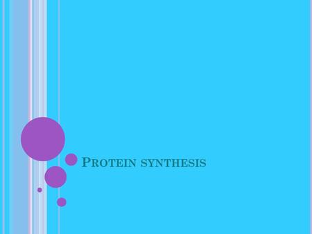 P ROTEIN SYNTHESIS. The base sequence of DNA codes for the amino acids that make up a protein (one gene codes for one polypeptide).