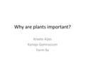 Why are plants important? Kreete Aljes Kanepi Gymnasium Form 9a.