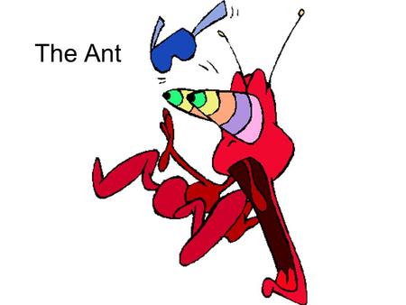 The Ant. C O N S E R V A T I O N C O N C E R N S 45 species are at risk due to habitat destruction R A N G E A N D H A B I T A T Almost all parts of the.