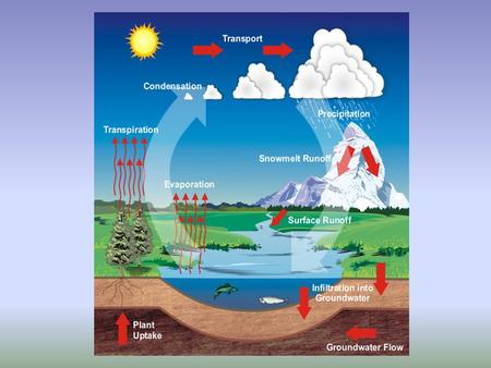 Liquid (water) to a Gas Energy comes from the SUN.