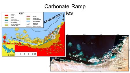 Carbonate Ramp Facies.