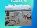 During the floods in January/February 1995 three rivers courses of Maas,Waal and Nederrijn in the central delta area of the Netherlands were affected.